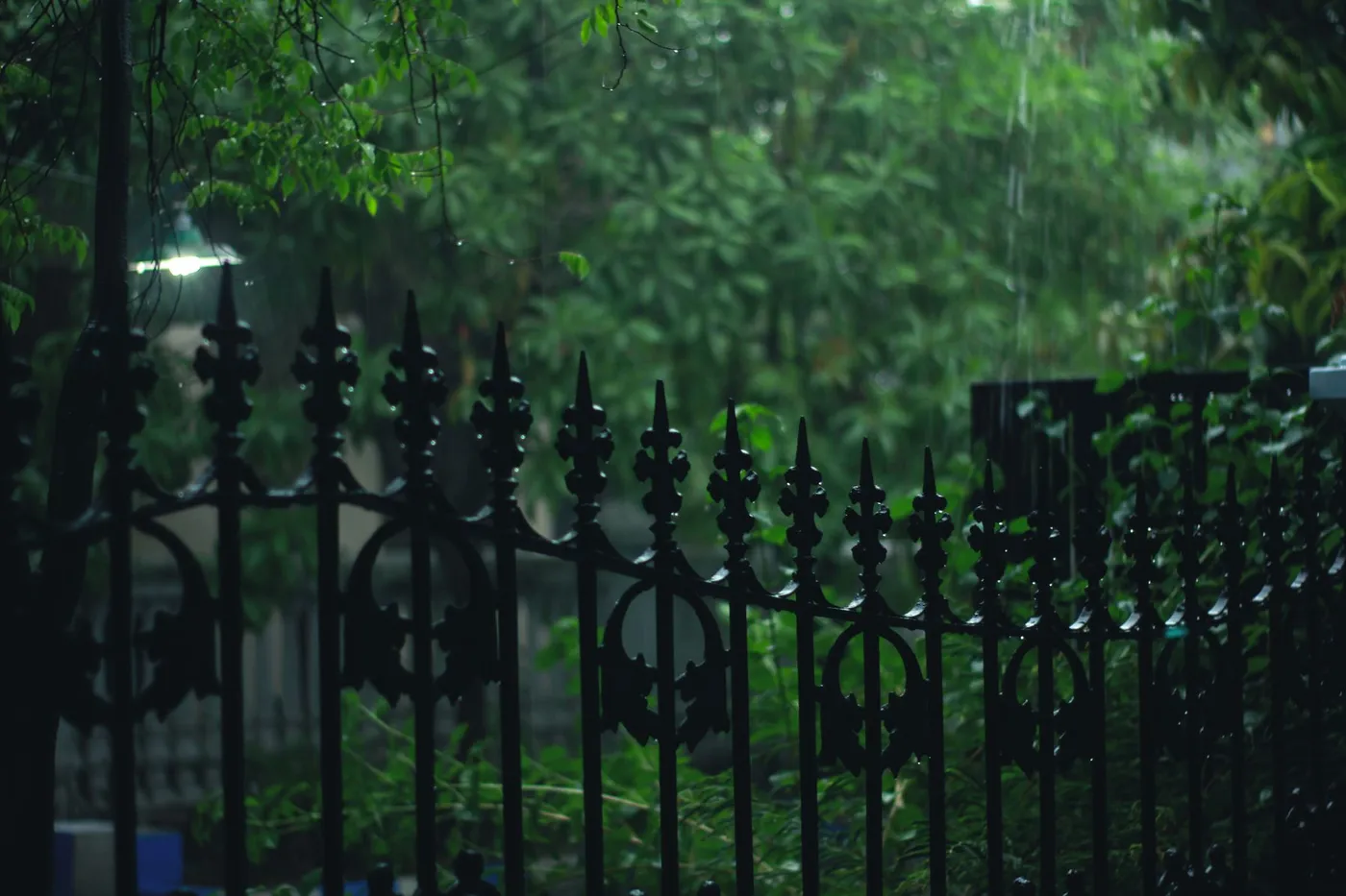 Portail en métal noir avec grille ouvragée, sous la pluie