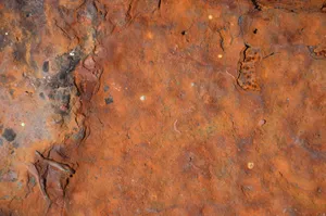 Surface métallique ancienne marquée par la rouille